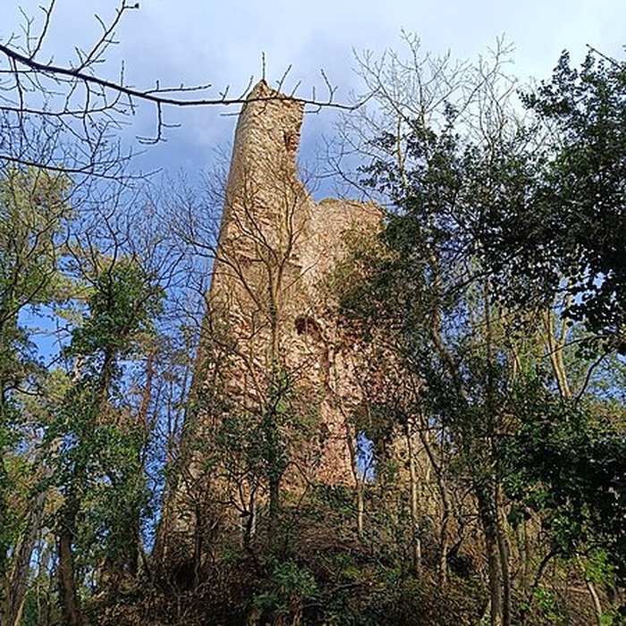 Photo de Tour de Cesson à Saint-Brieuc
