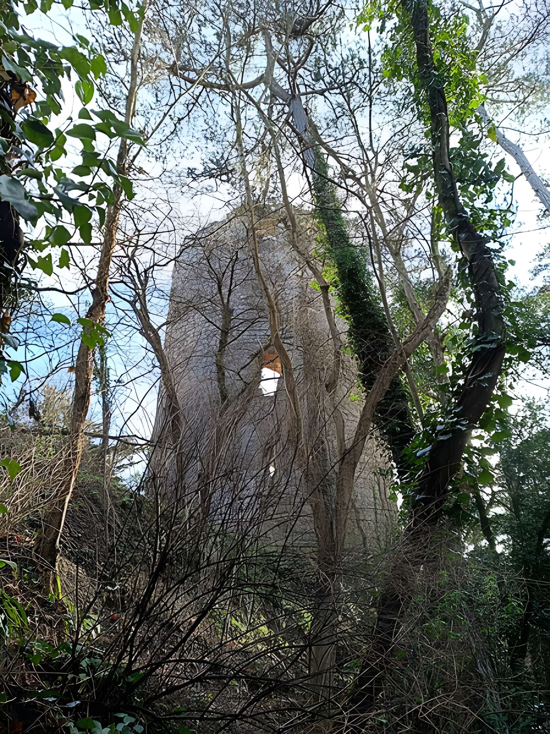 Tour de Cesson à Saint-Brieuc