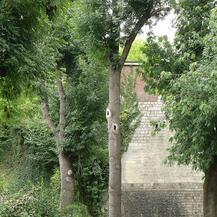 Photo de Tour de la Dodenne de Valenciennes