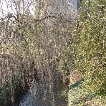 Tour de la Dodenne de Valenciennes