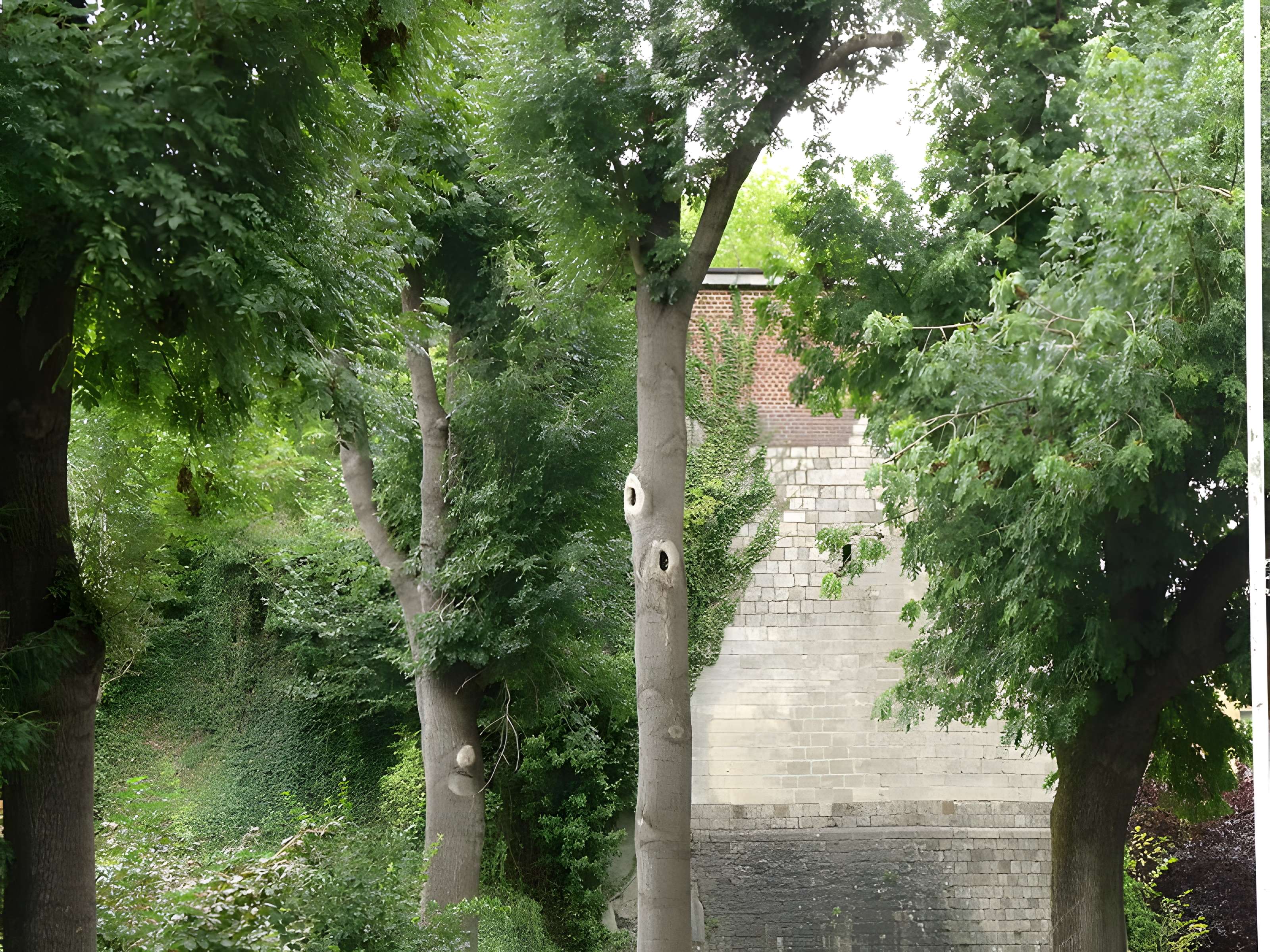 Tour de la Dodenne de Valenciennes