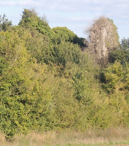 Photo de Tour de la Grange de Villeconin