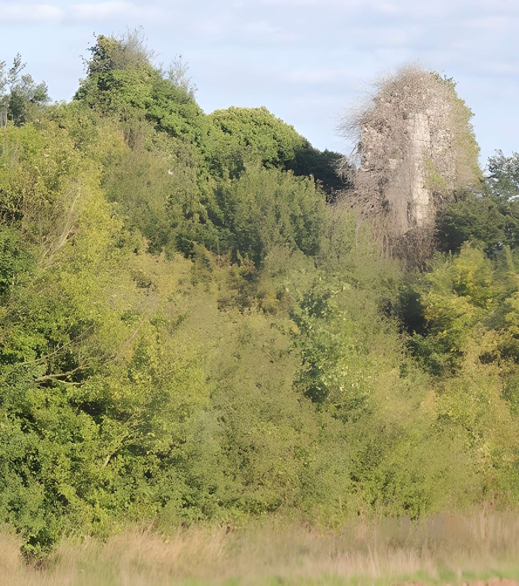 Tour de la Grange de Villeconin 