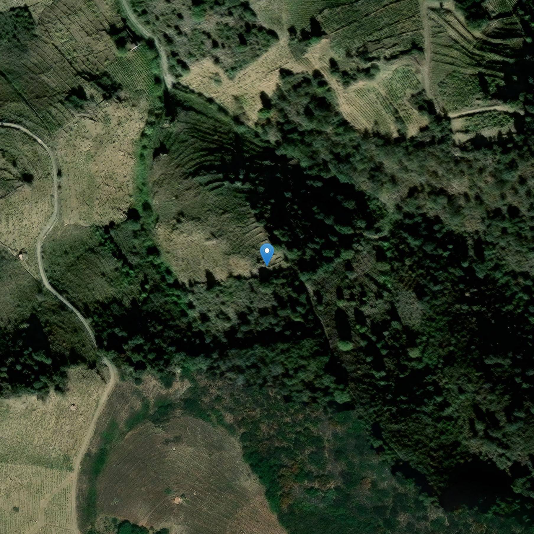 Photo de Turm des Sterns von Collioure
