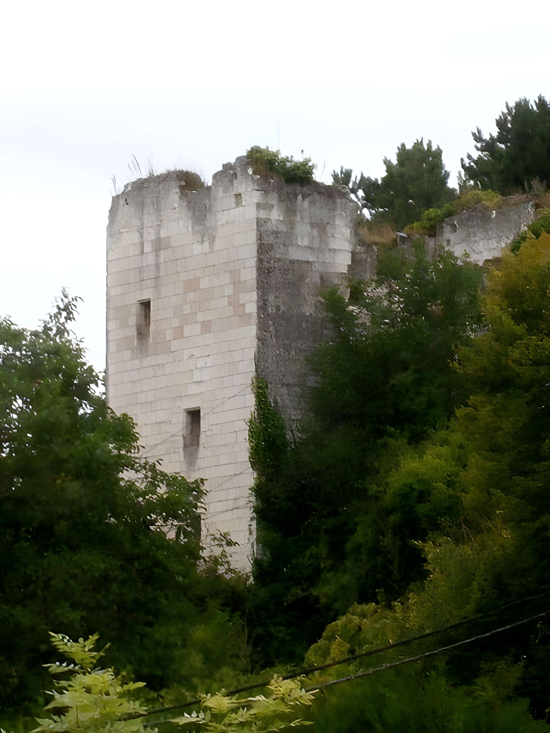 Tour de Mauvières à Loches 