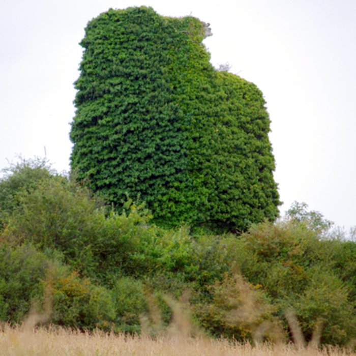 Photo de Tour de Montbran de Pléboulle