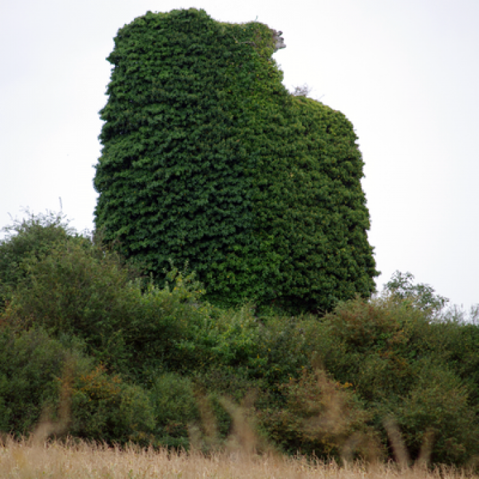 Photo de Tour de Montbran de Pléboulle