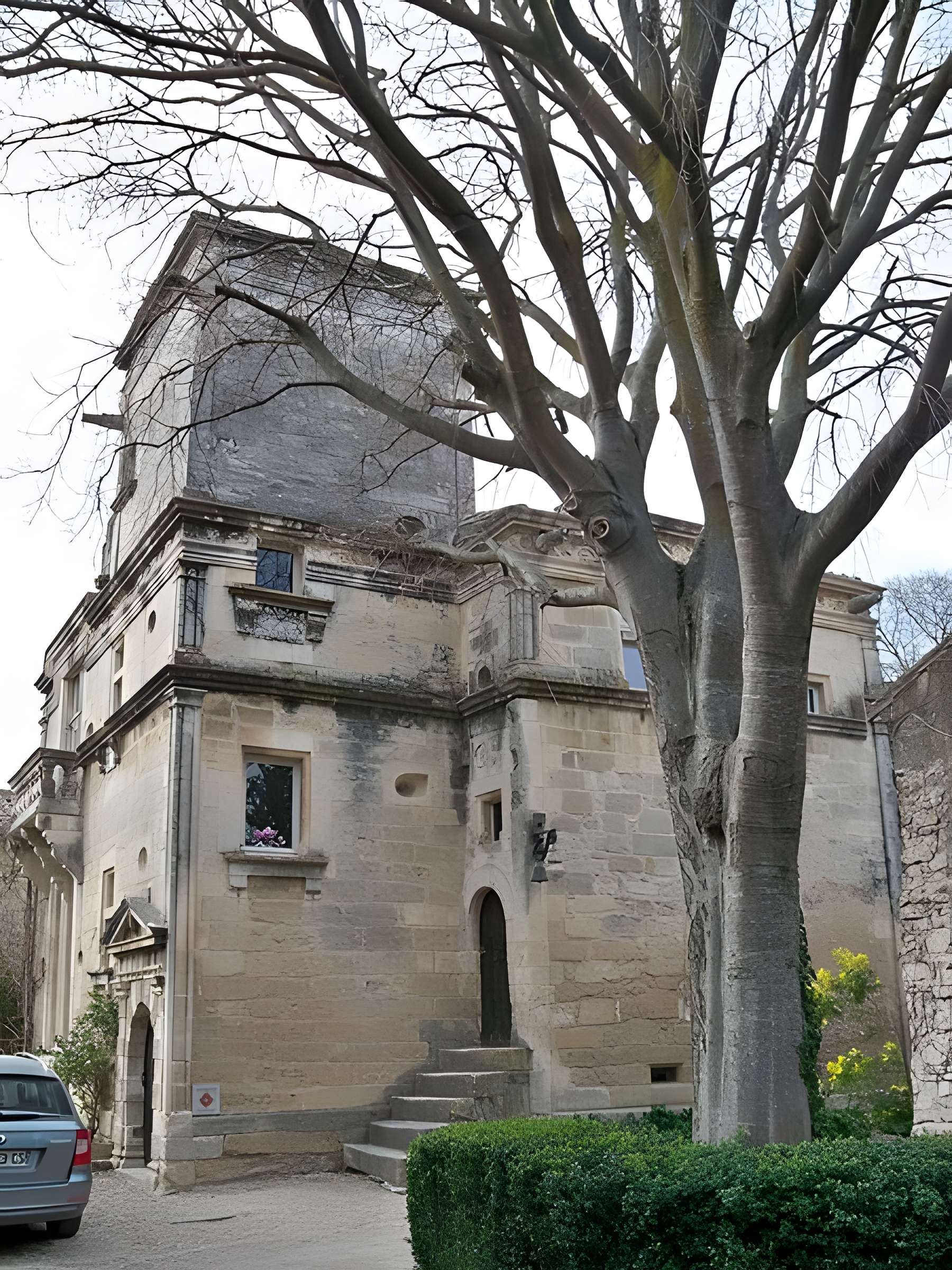 Tour des Cardinaux de Saint-Rémy-de-Provence 