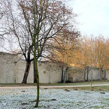 Tour des Esprits de Metz