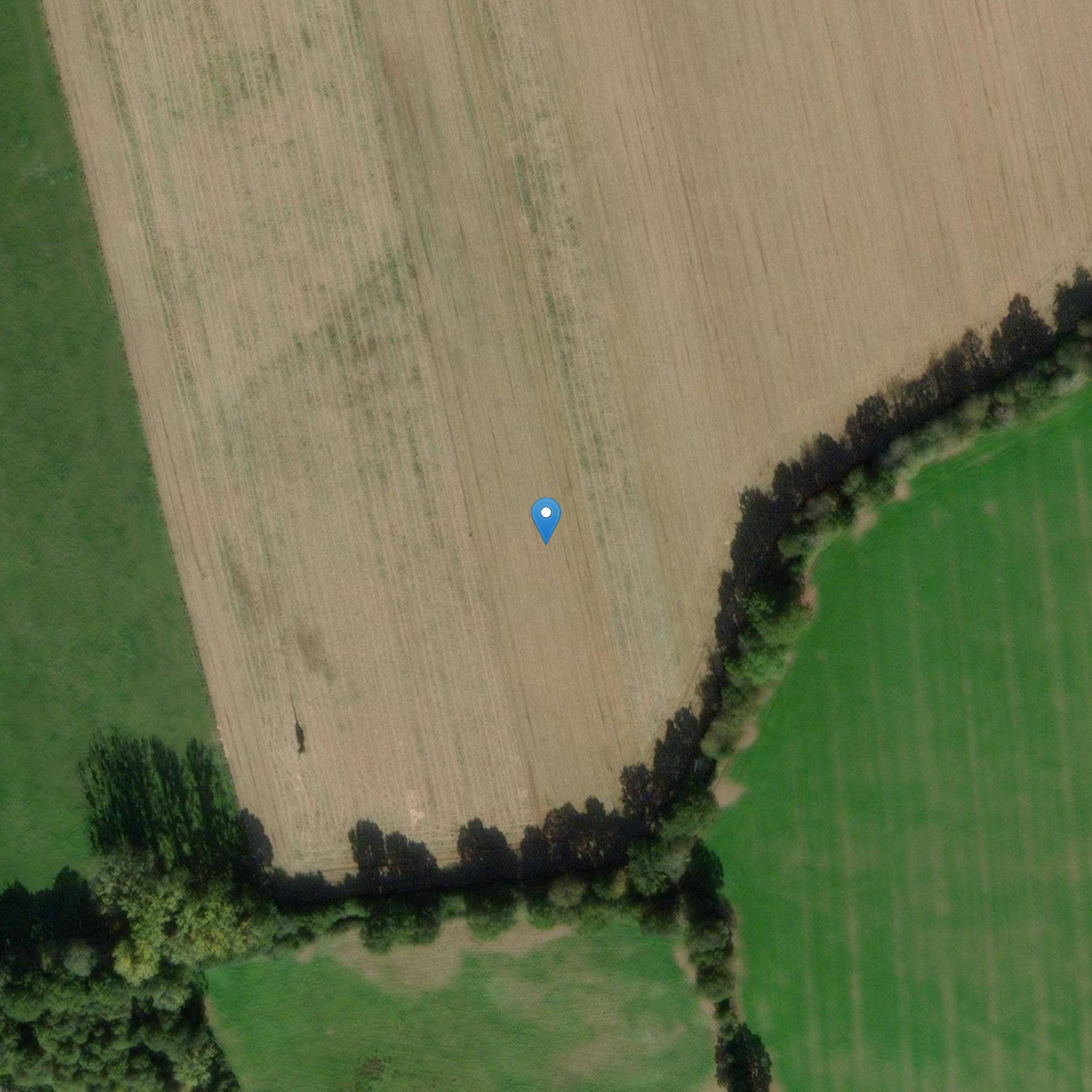 Photo de Torre dei Prigionieri di Vitré