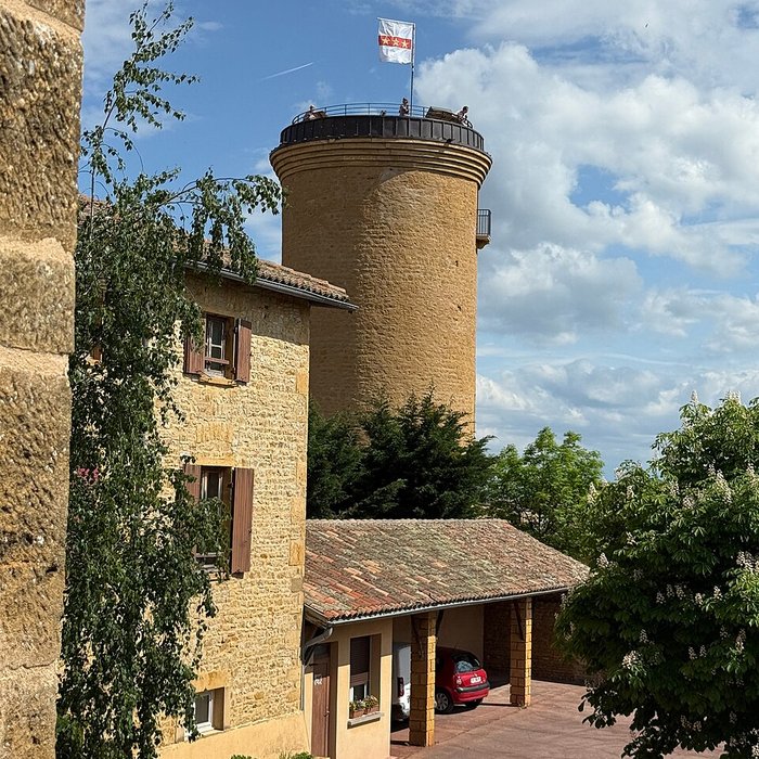 Photo de Tour dOingt