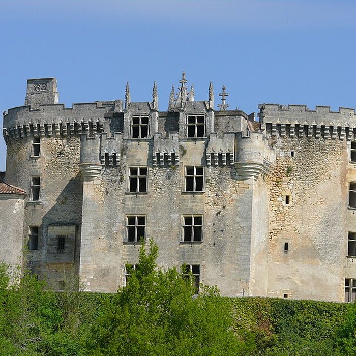 Photo de Château de La Chapelle-Faucher