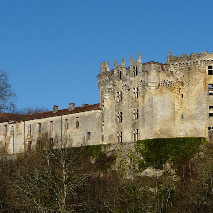 Photo de Château de La Chapelle-Faucher