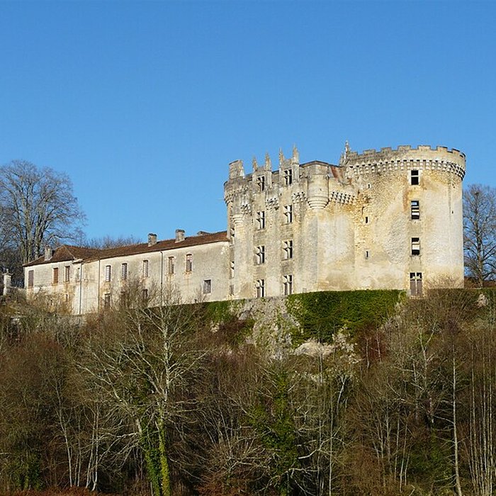 Photo de Château de La Chapelle-Faucher