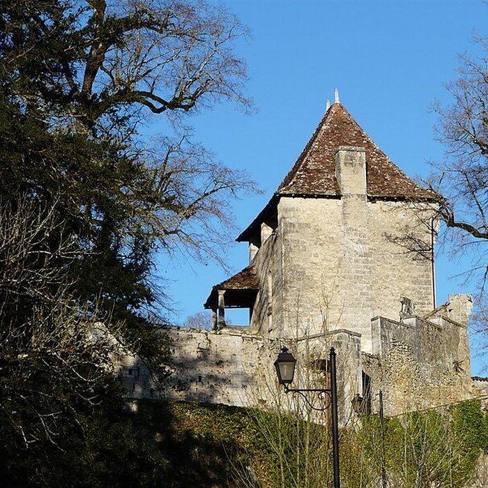 Photo de Château de La Chapelle-Faucher