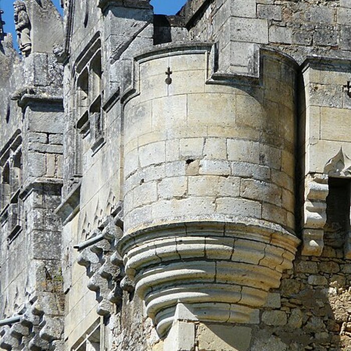 Photo de Château de La Chapelle-Faucher