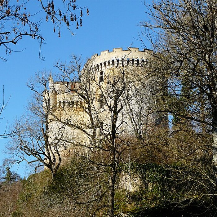 Photo de Château de La Chapelle-Faucher