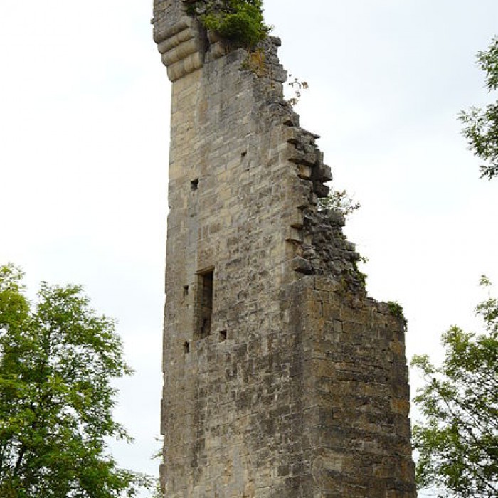 Photo de Tour du puy dYssandon