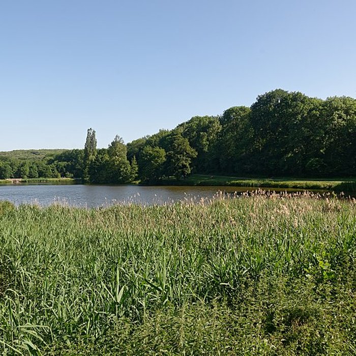 Photo de Château de la Chasse