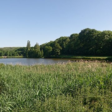 Château de la Chasse