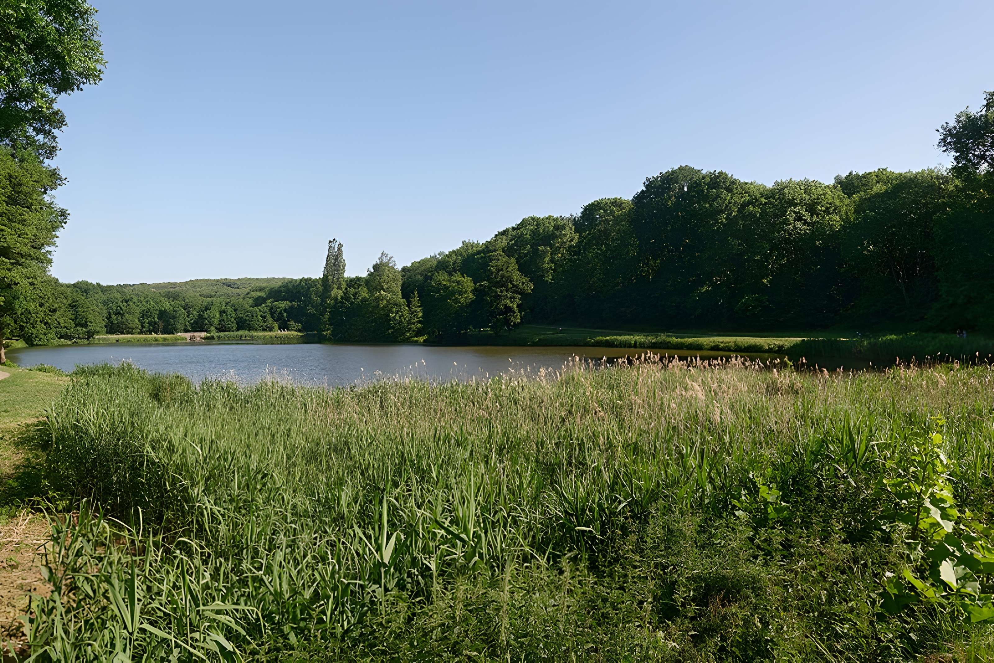 Château de la Chasse