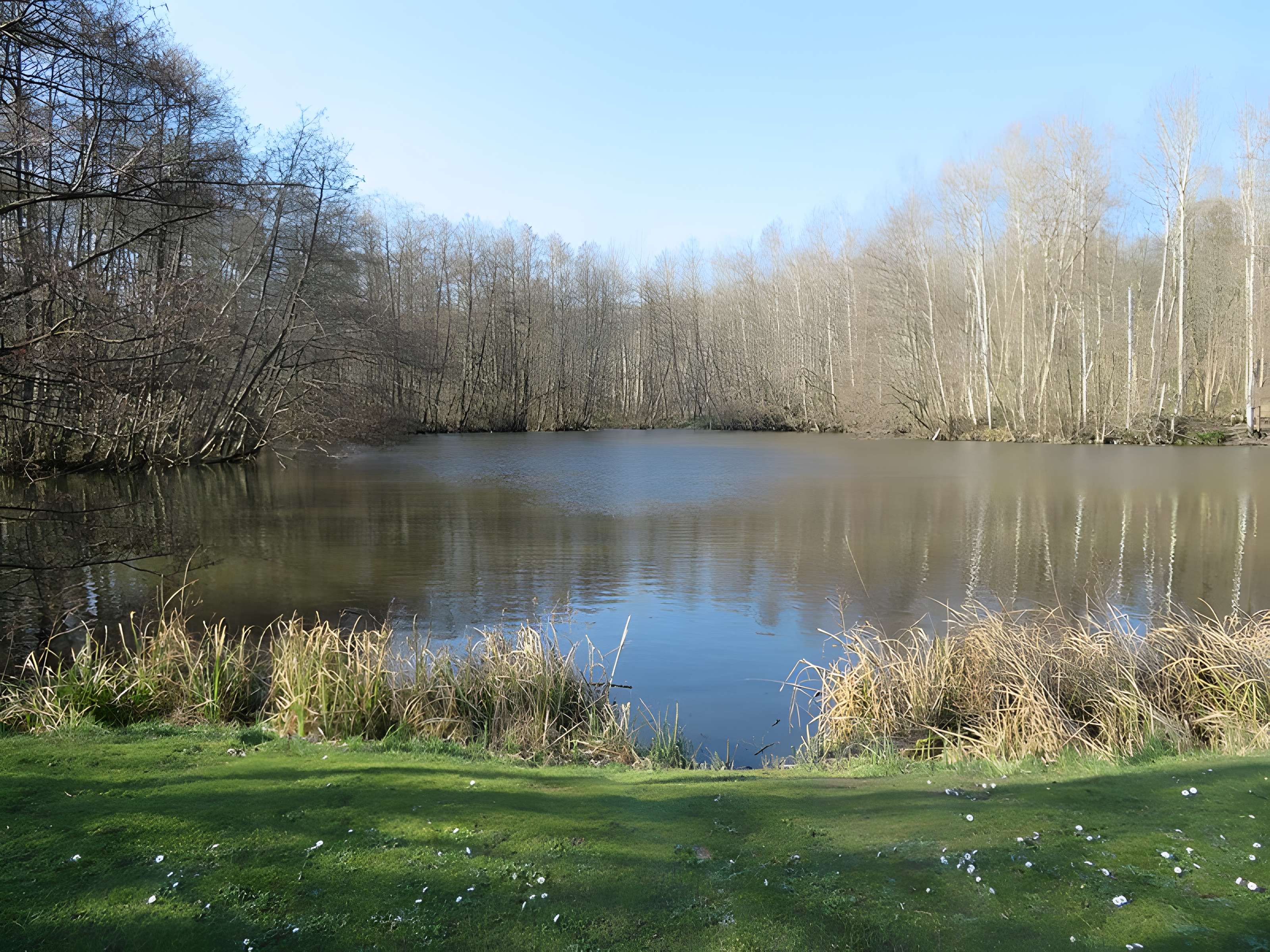 Château de la Chasse