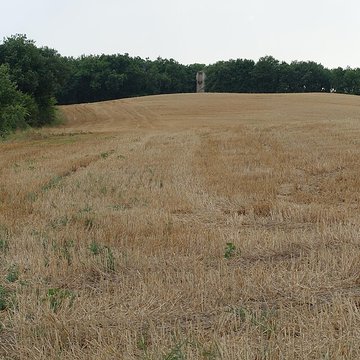 Tour gallo-romaine de Saint-Lary