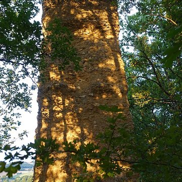 Tour gallo-romaine de Saint-Lary