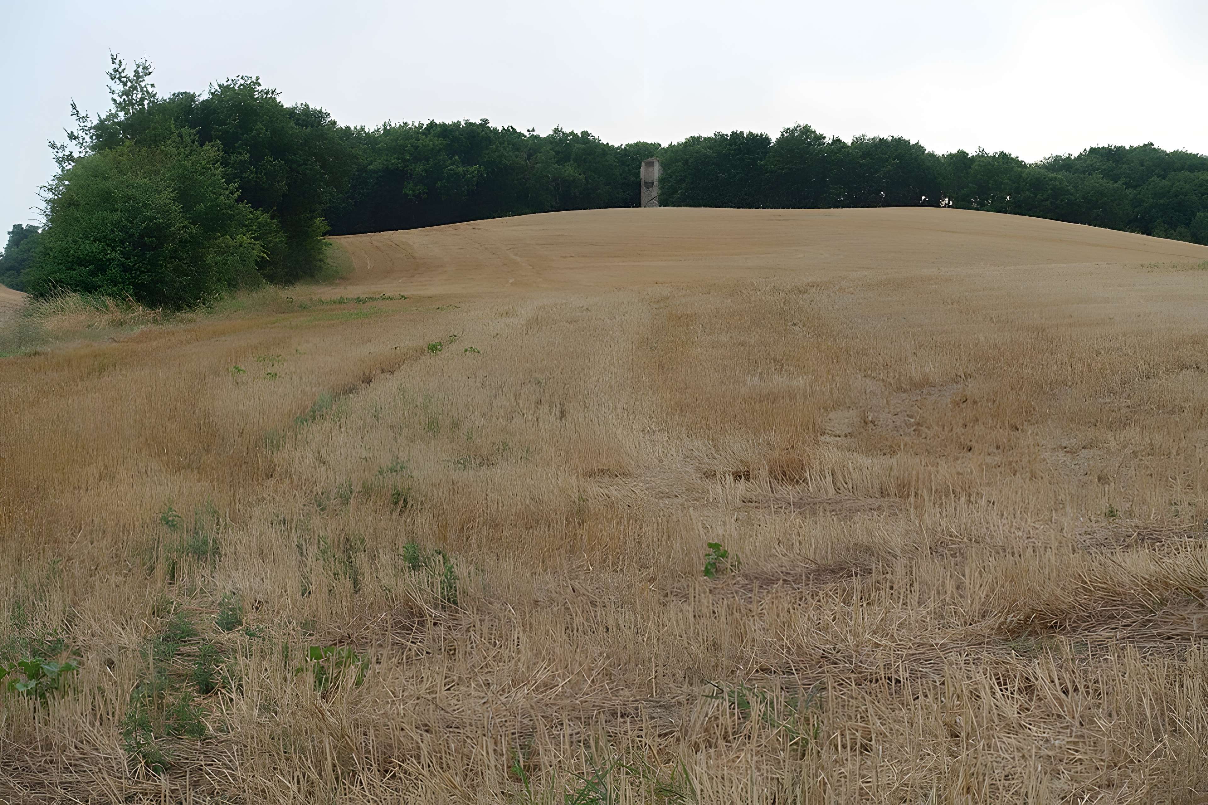 Tour gallo-romaine de Saint-Lary