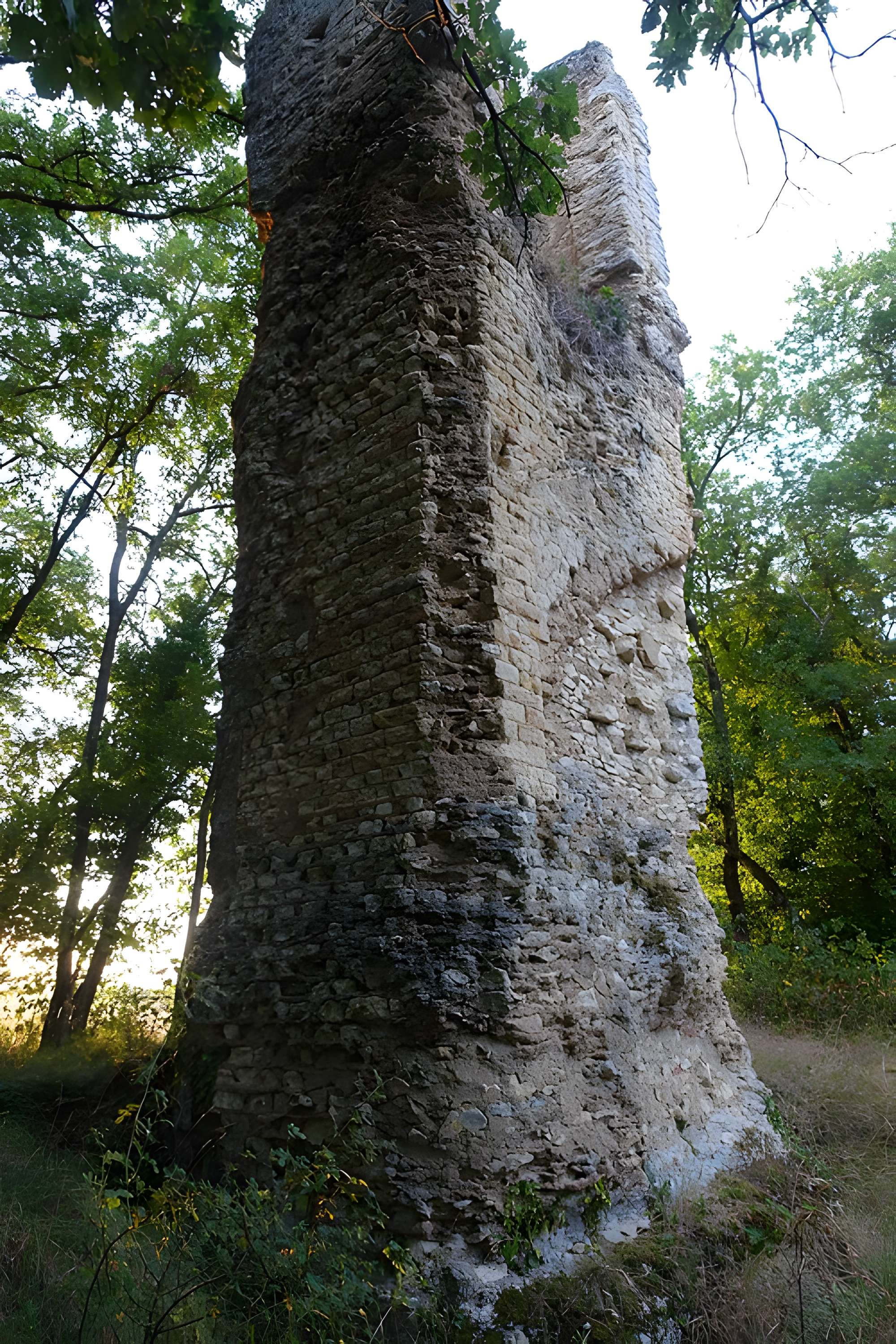 Tour gallo-romaine de Saint-Lary