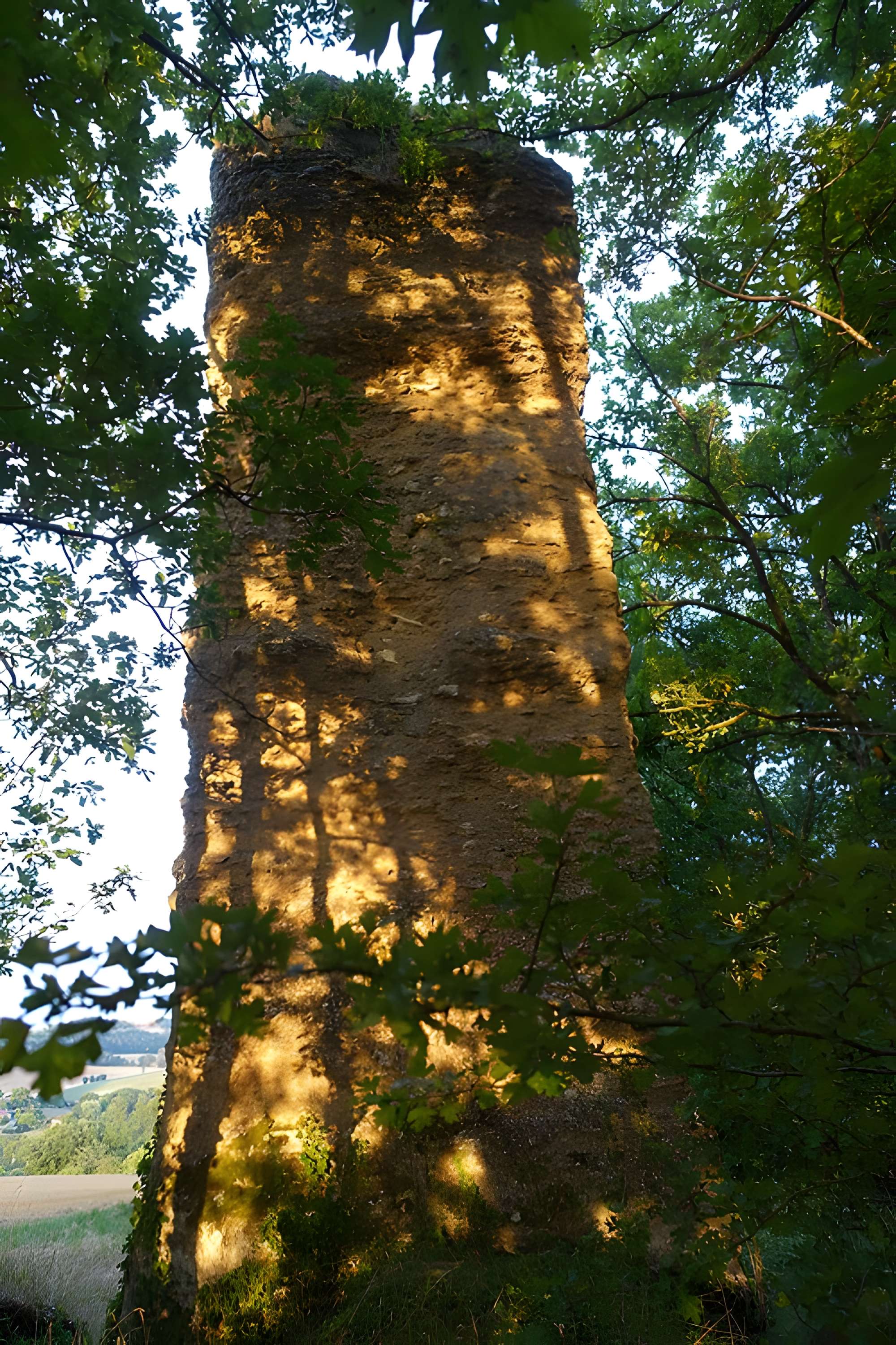 Tour gallo-romaine de Saint-Lary