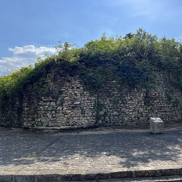 Photo de Tour médiévale de La Queue-en-Brie