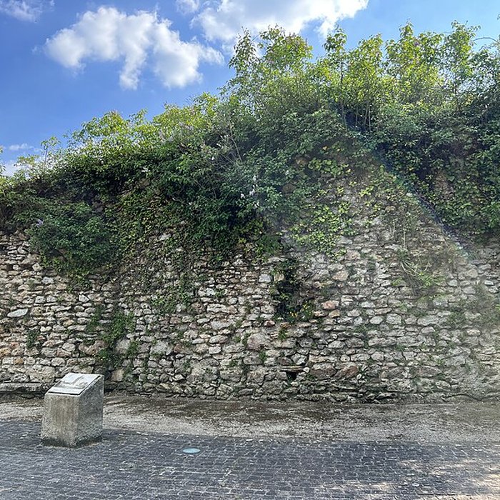Photo de Tour médiévale de La Queue-en-Brie