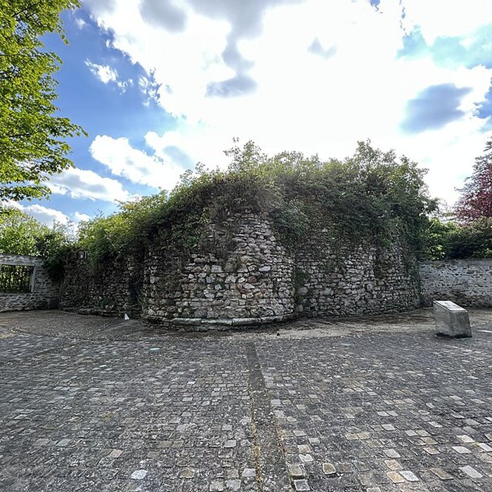 Photo de Tour médiévale de La Queue-en-Brie