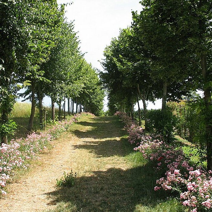 Photo de Château et jardins de la Chatonnière