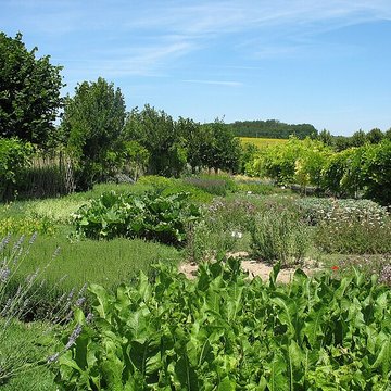 Château et jardins de la Chatonnière