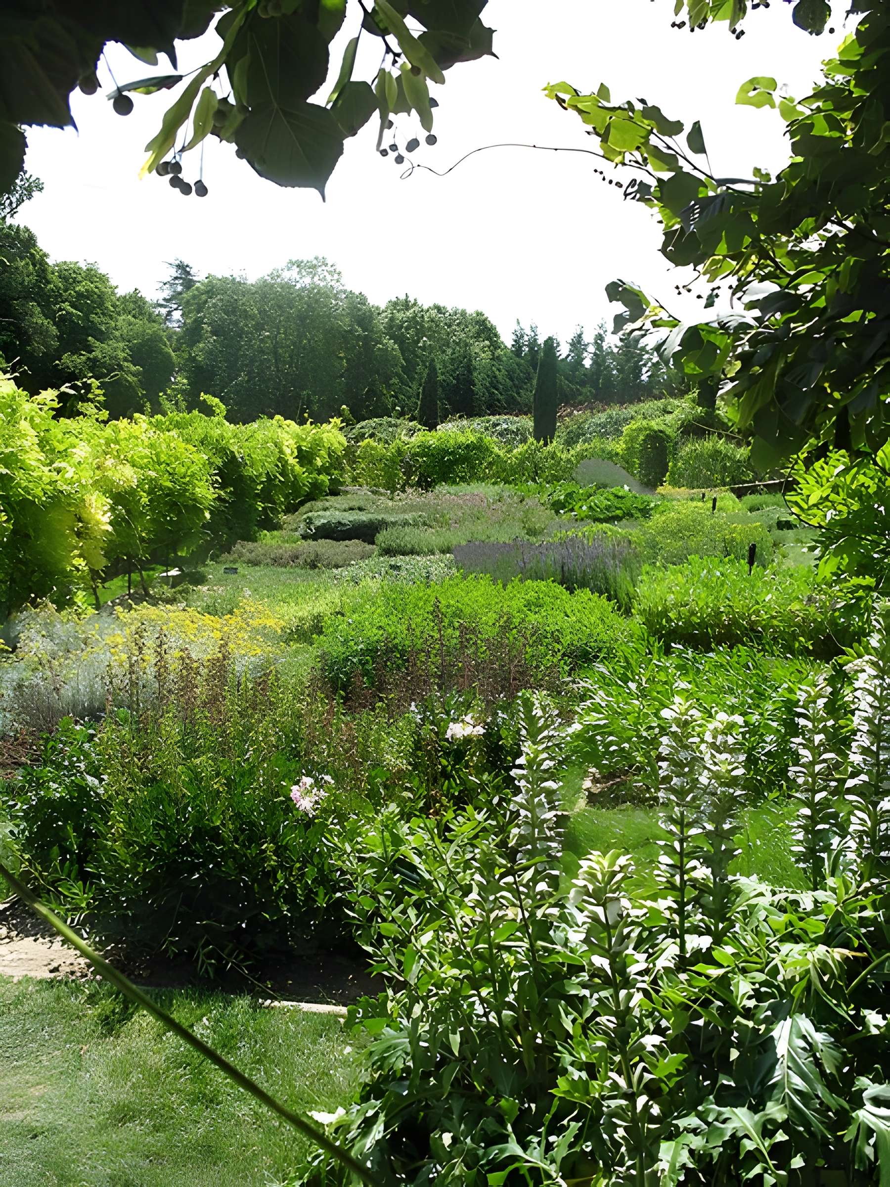 Château et jardins de la Chatonnière