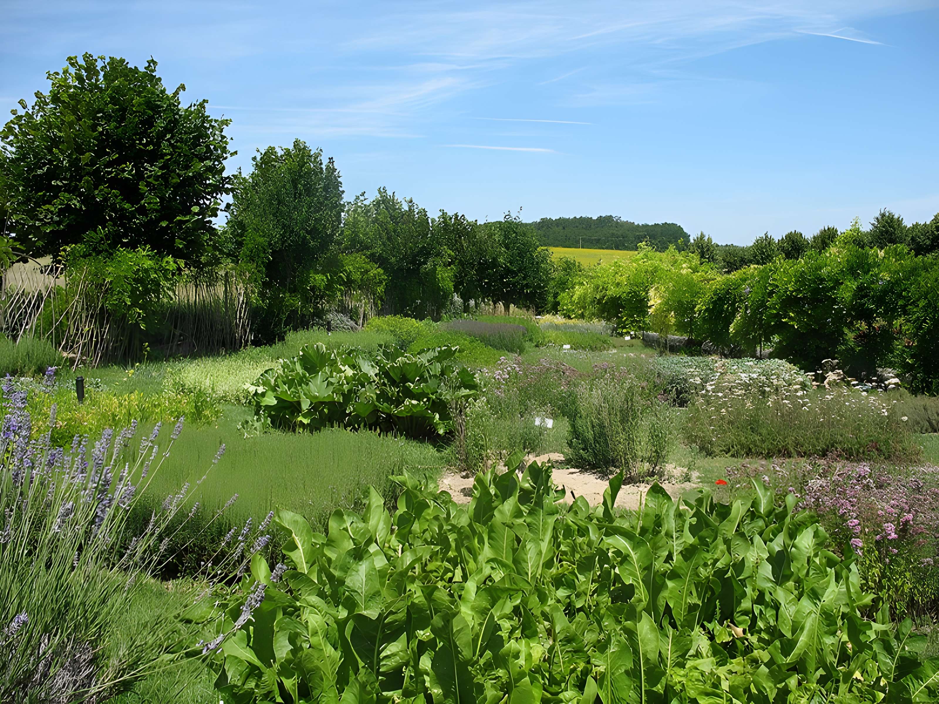 Château et jardins de la Chatonnière