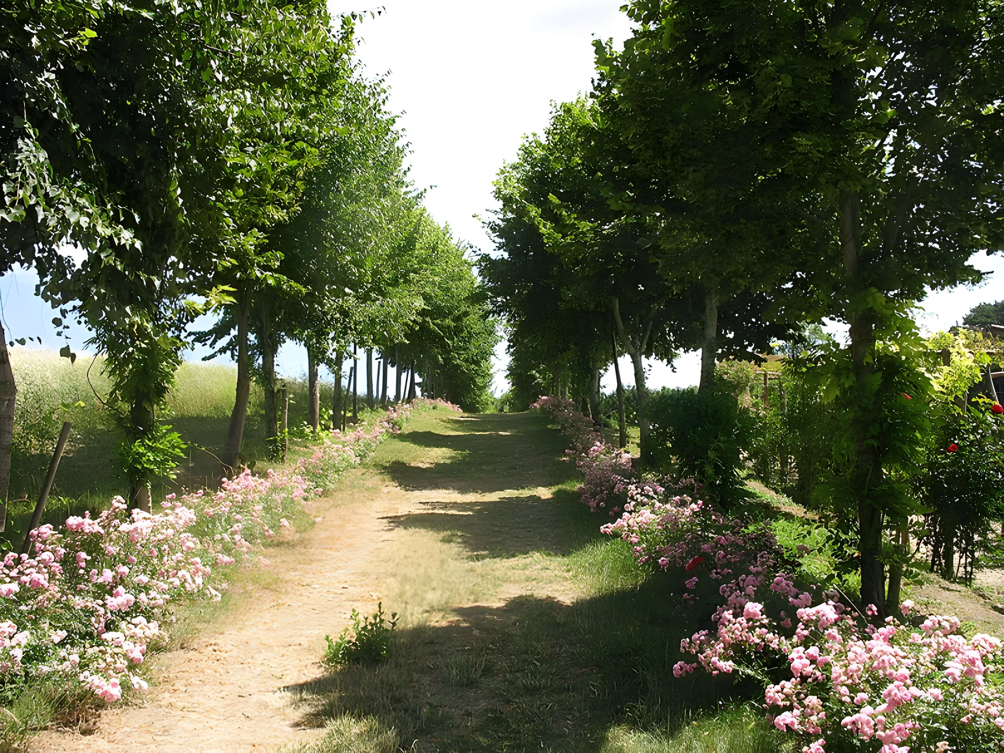 Château et jardins de la Chatonnière