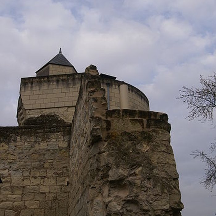 Photo de Tour Papegault de Saumur