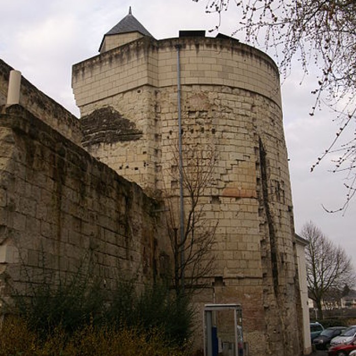 Photo de Tour Papegault de Saumur