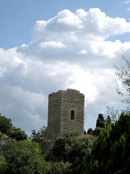 Photo de Tour sarrasine de Châteaudouble