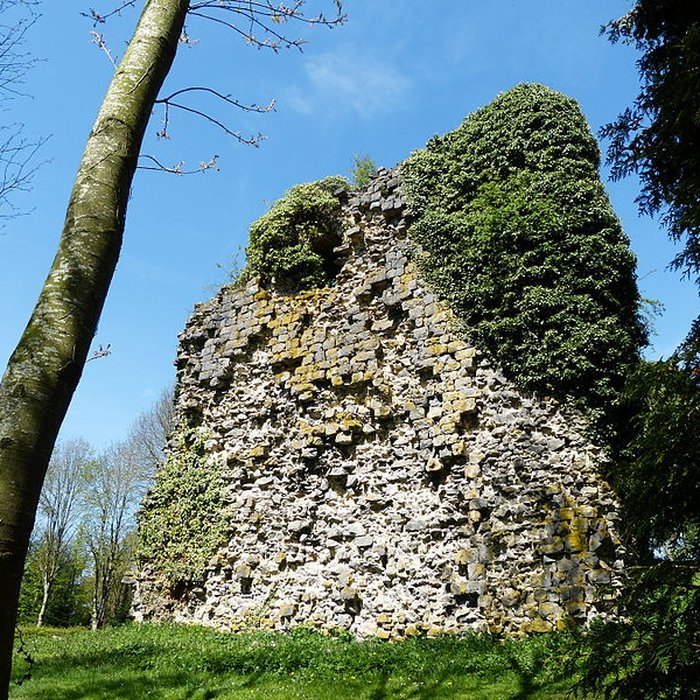 Photo de Tour sarrazine de Beaufort