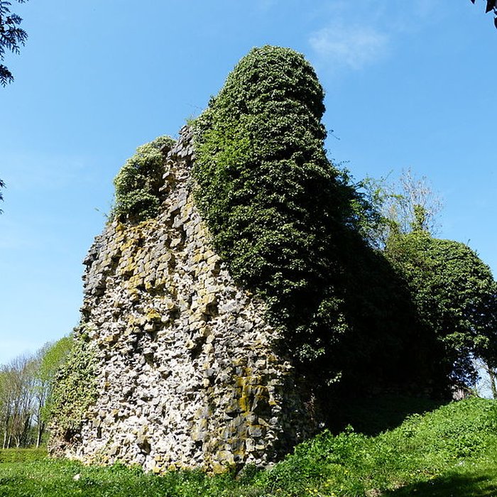 Photo de Tour sarrazine de Beaufort