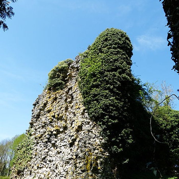 Photo de Tour sarrazine de Beaufort