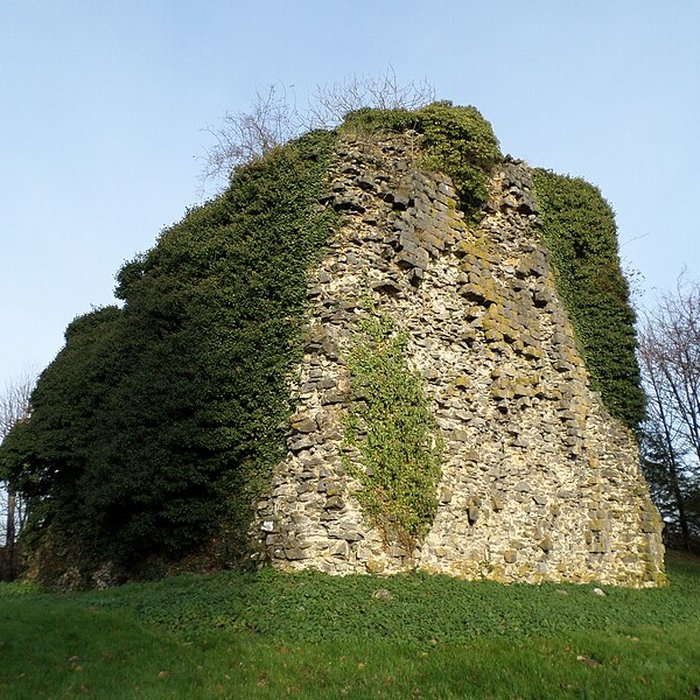 Photo de Tour sarrazine de Beaufort