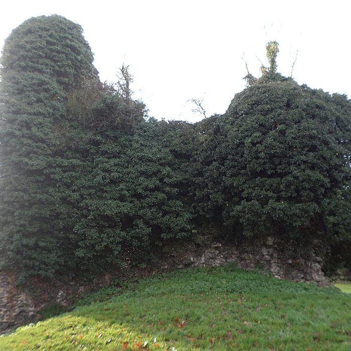 Photo de Tour sarrazine de Beaufort