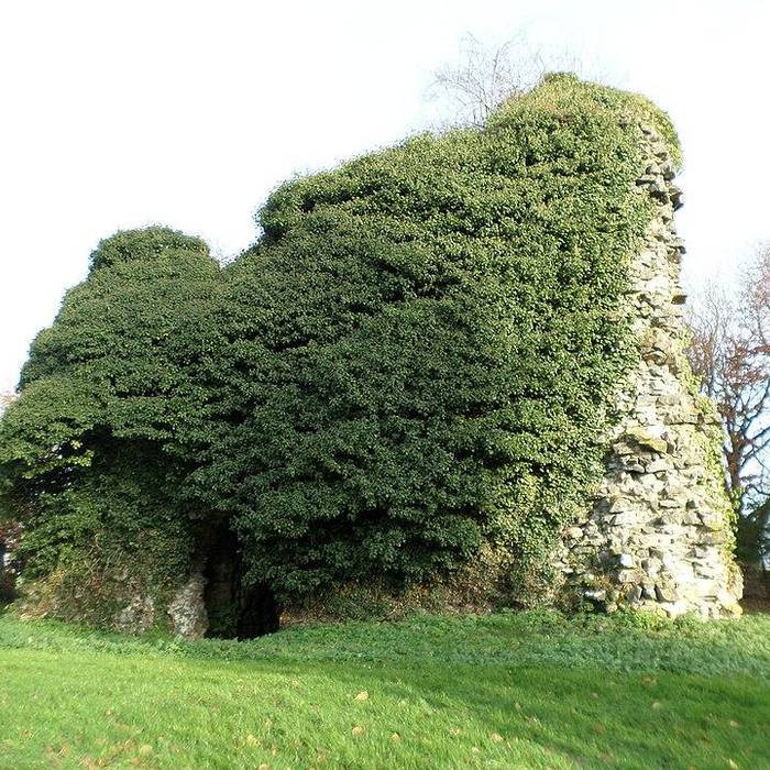 Photo de Tour sarrazine de Beaufort