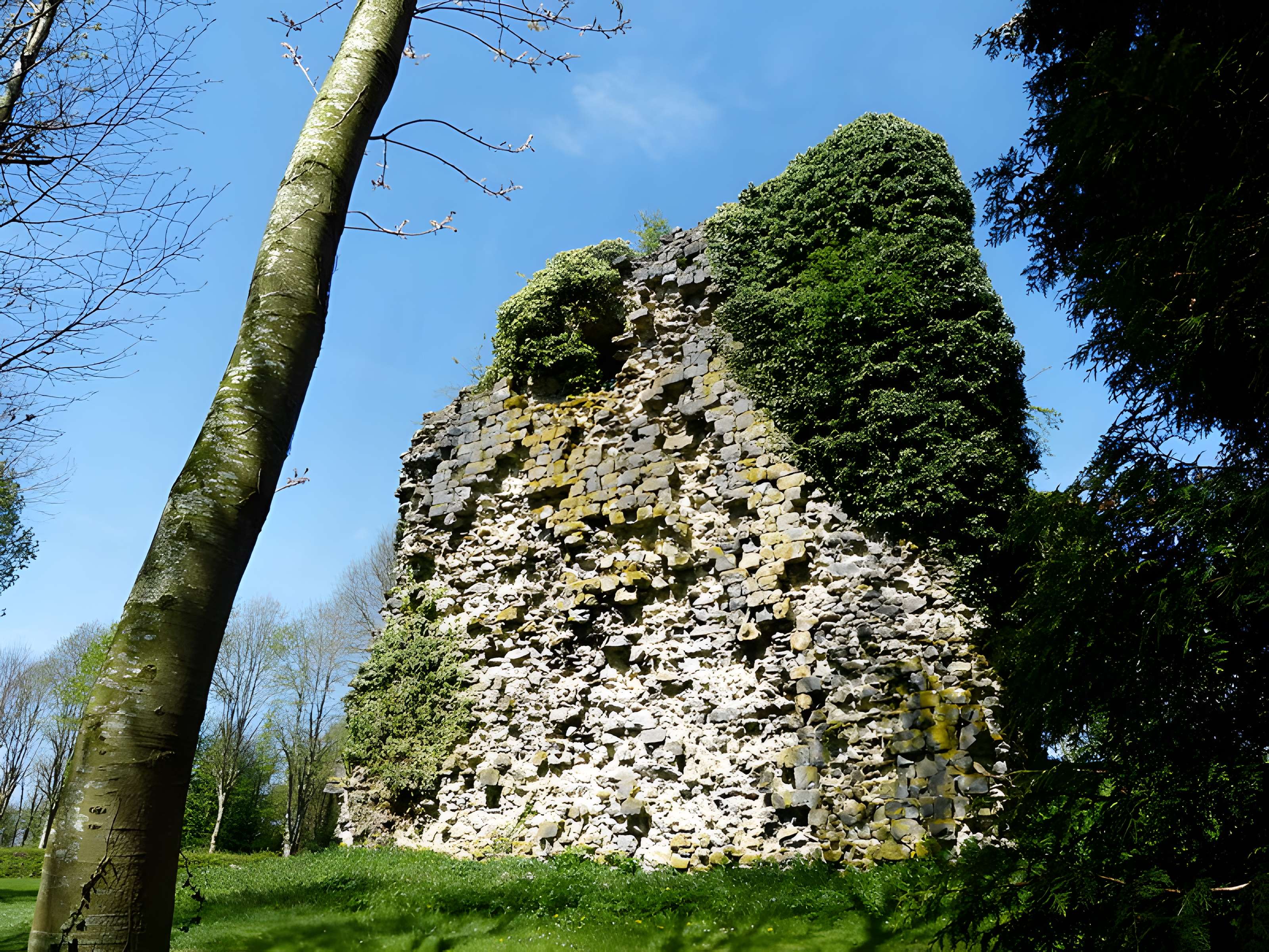 Tour sarrazine de Beaufort