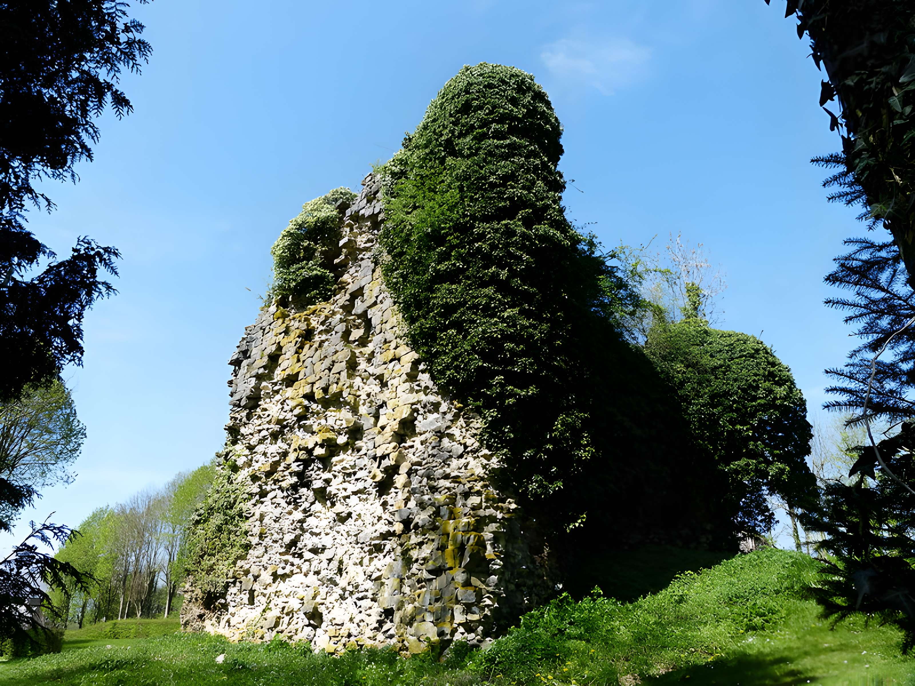 Tour sarrazine de Beaufort